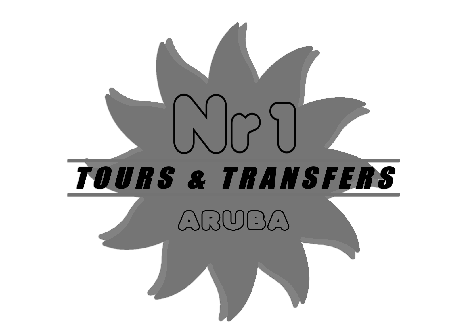 Nr1 Tours Transfer